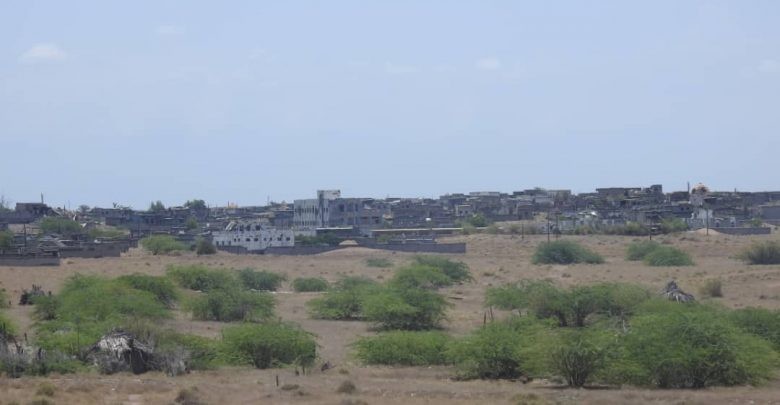 الحديدة: القوات المشتركة تسقط طائرة استطلاع حوثية شرق الدريهمي